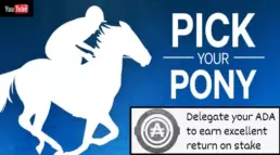 Pick your pony blog header
