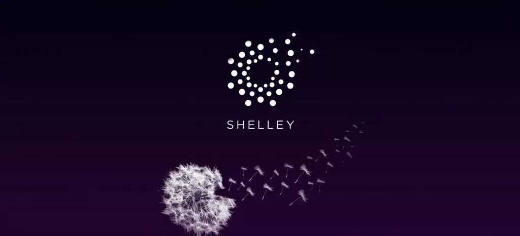 2nd phase of the Cardano blockchain called Shelley, decentralization of the network